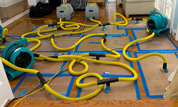 Professional Storm Water Damage Restoration technician working in Glen Ridge, NJ